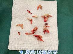 -美联众合动物医院·24h转诊中心