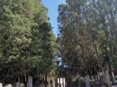 -彩色沙林风景区