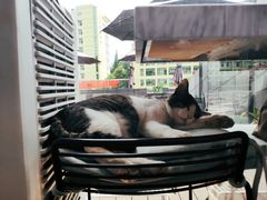 -UNI UNI(环亚凯瑟琳店)