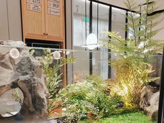-绿茶餐厅(青岛城阳万象汇店)