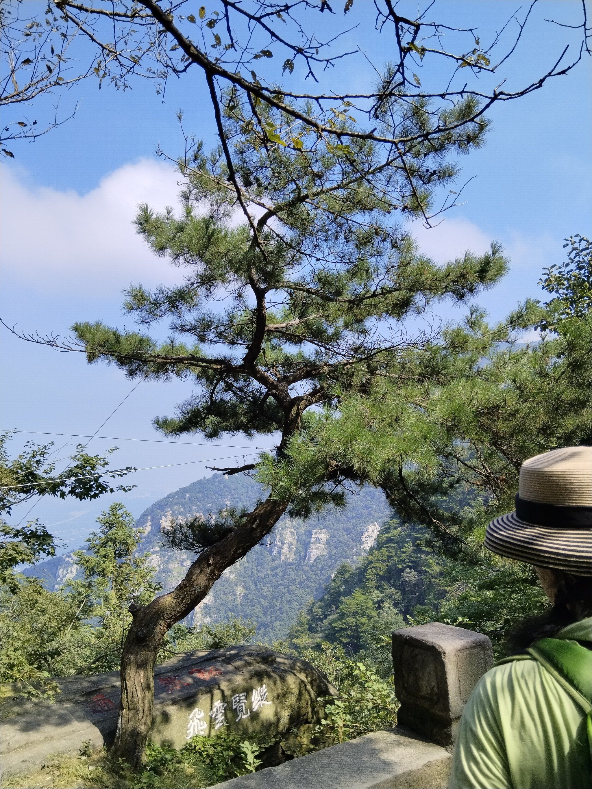 庐山的树强过黄山的松