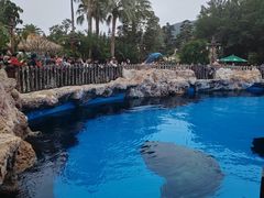 -珠海长隆海洋王国