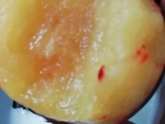 -鲜丰水果(双桂坊店)