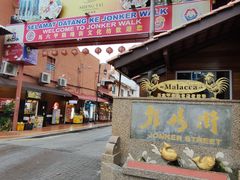 -马六甲鸡场街