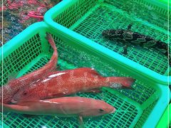 -都斛海鲜街