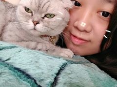 -李小姐の猫咖啡馆(五角场店)
