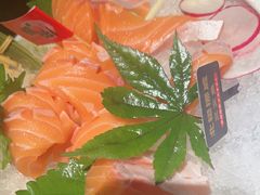 -枫伝料理居酒屋