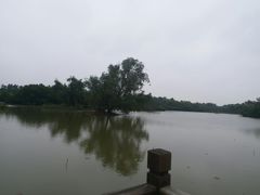 -大湾区中央湿地公园