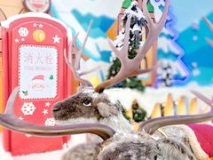 -广州热雪奇迹