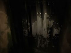 -富国岛翡翠湾 JW 万豪度假酒店