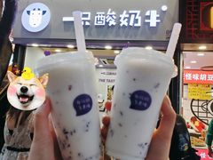 -一只酸奶牛(八一路店)