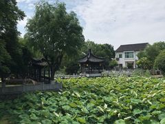 -丝绸小镇荻港古村