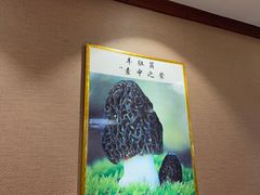 -菌之家·专业纯野生菌火锅·特色炒菌