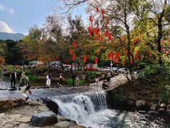 -广州市石门国家森林公园