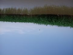 -乌梁素海景区
