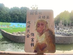 -合肥野生动物园