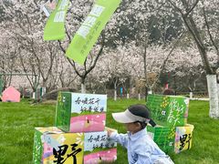 -高岚大峡谷旅游度假区