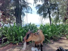 -三亚西岛海洋文化旅游区