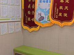 -瑞鹏宠物医院·骨外科·心肾科·肿瘤科(九亭店)