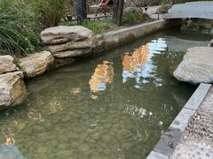 -宏兴烤鱼山庄(宣恩总店)