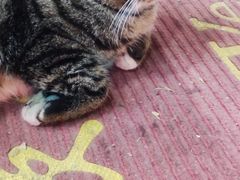 -孙记大碗皮肚面(后宰门店)