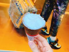 -富豪雪糕车流动点(尖沙咀店)