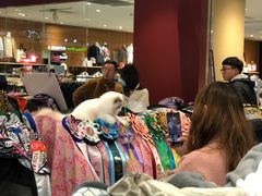 -天虹购物中心(石路店)