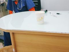 -宠福鑫康馨动物医院·骨科·眼科