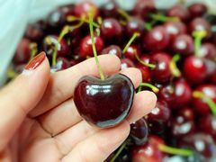 -菜园坝水果市场