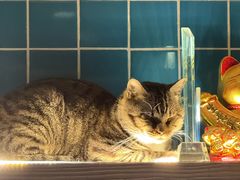 -哥老官重庆美蛙鱼头(西湖银泰十一哥店)