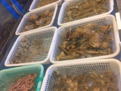 水产区-船歌·鱼水饺青岛菜(闽江二路店)