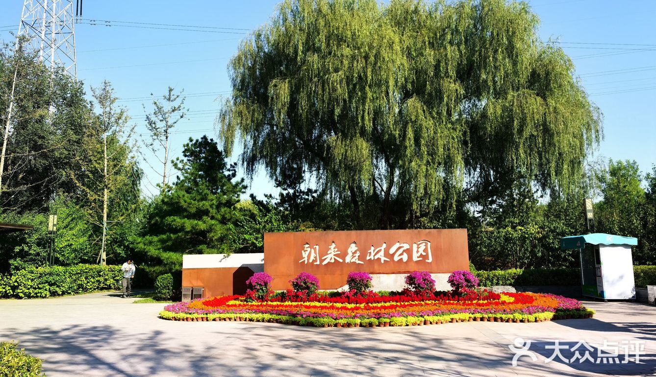 打卡朝来森林公园三期