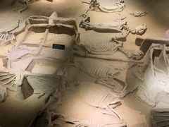 -洛阳周王城天子驾六博物馆