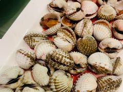 血蛤-华盛丰温州大排档(东三环南路店)