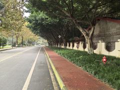 -四川大学(望江校区)