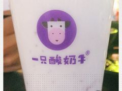 -一只酸奶牛(奎星楼店)