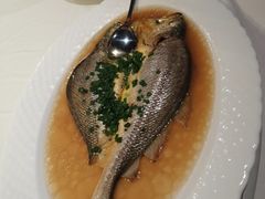 -上海古井假日酒店 · 徽昇楼中餐厅