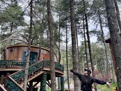 -洛阳白云山景区