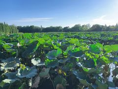 -云龙湖旅游景区