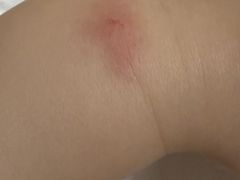 -扬州迎宾馆(11号楼)
