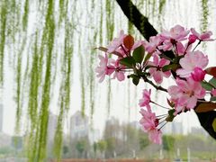 -大宁公园