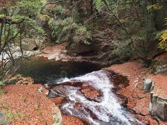 -光雾山旅游景区