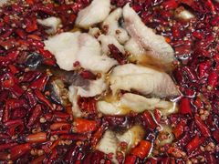 -宏宴·新京菜(望京店)