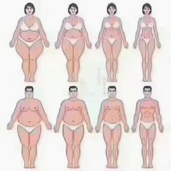 -香薇妮丝女子减肥院