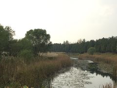 -太湖湖滨国家湿地公园-停车场