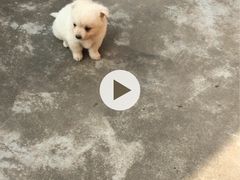 -TOUCH泰奇(南汇南门大街店)