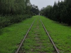 -永定河休闲森林公园