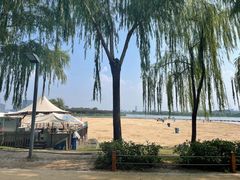 -北龙湖湿地公园