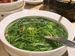 -醉庐·新上海菜(南京西路店)