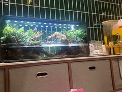 -堂屋糖水店(愚园店)